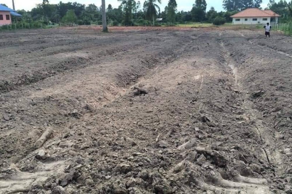 timeline_20211214_092902