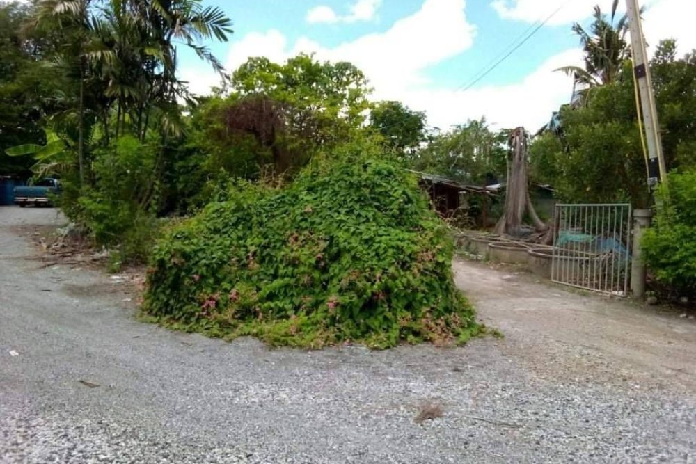 timeline_20220209_140009