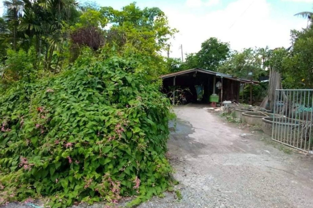 timeline_20220209_140010