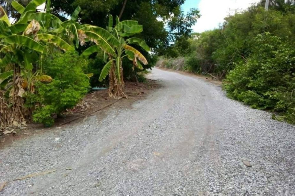 timeline_20220209_140013