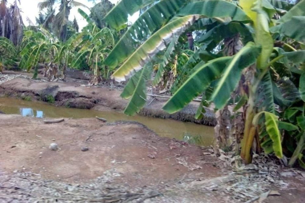 timeline_20220209_140014