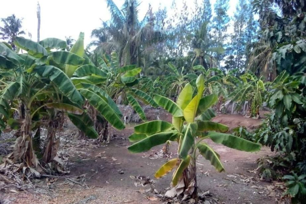 timeline_20220209_140015