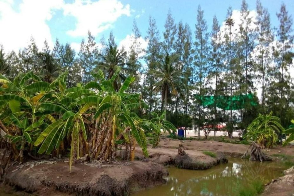 timeline_20220209_140016