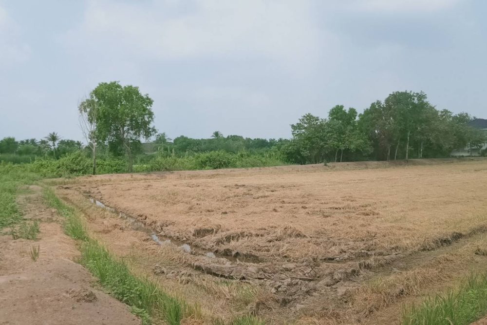 timeline_20220303_161621