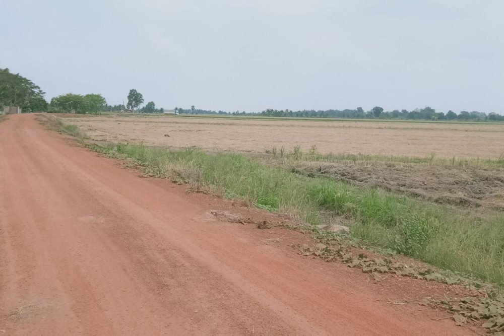 timeline_20220303_161629