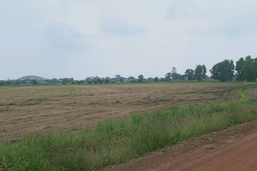 timeline_20220303_161635