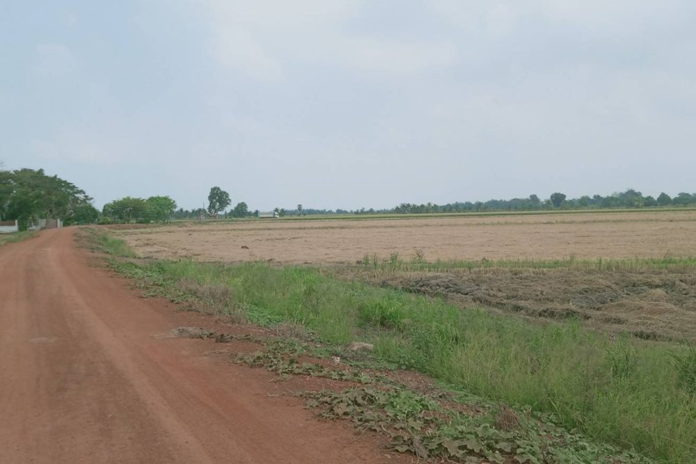 timeline_20220303_161638