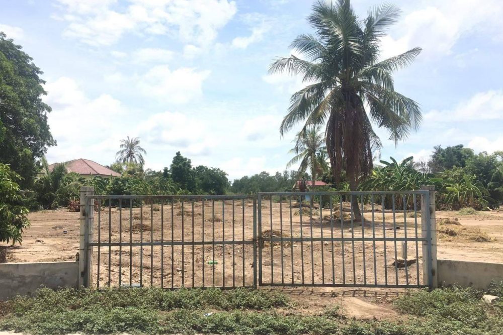 timeline_20220406_082721