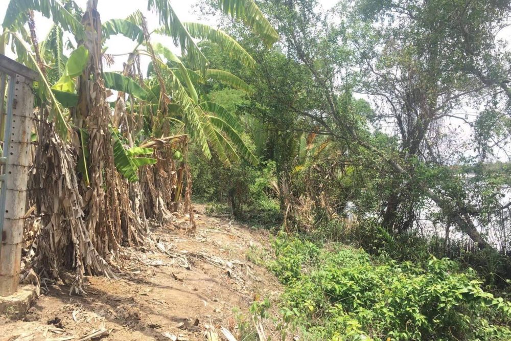 timeline_20220406_082723