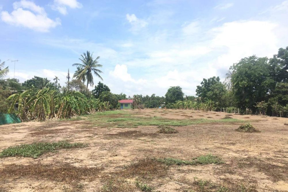 timeline_20220406_082725