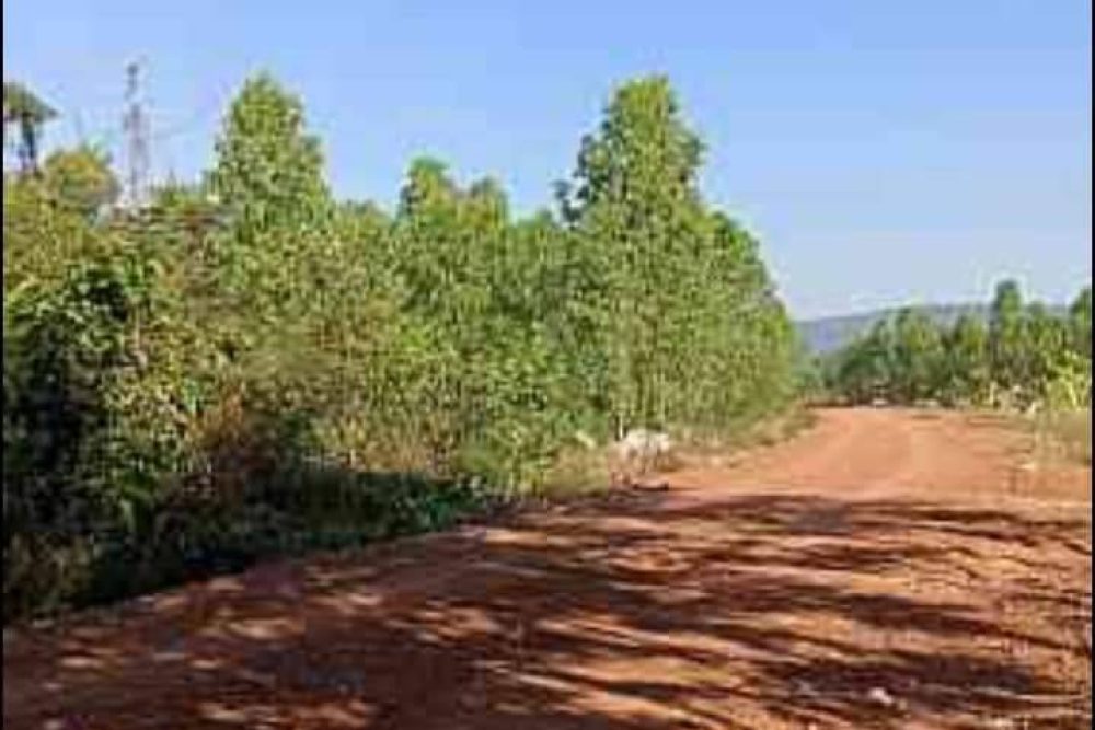 timeline_20220513_153003