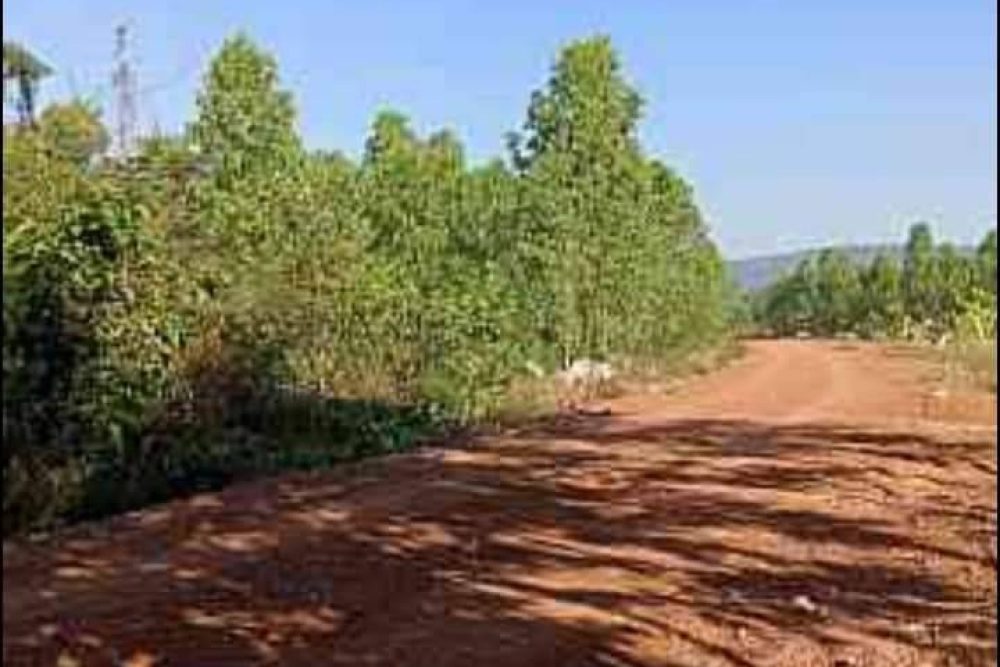 timeline_20220513_153004