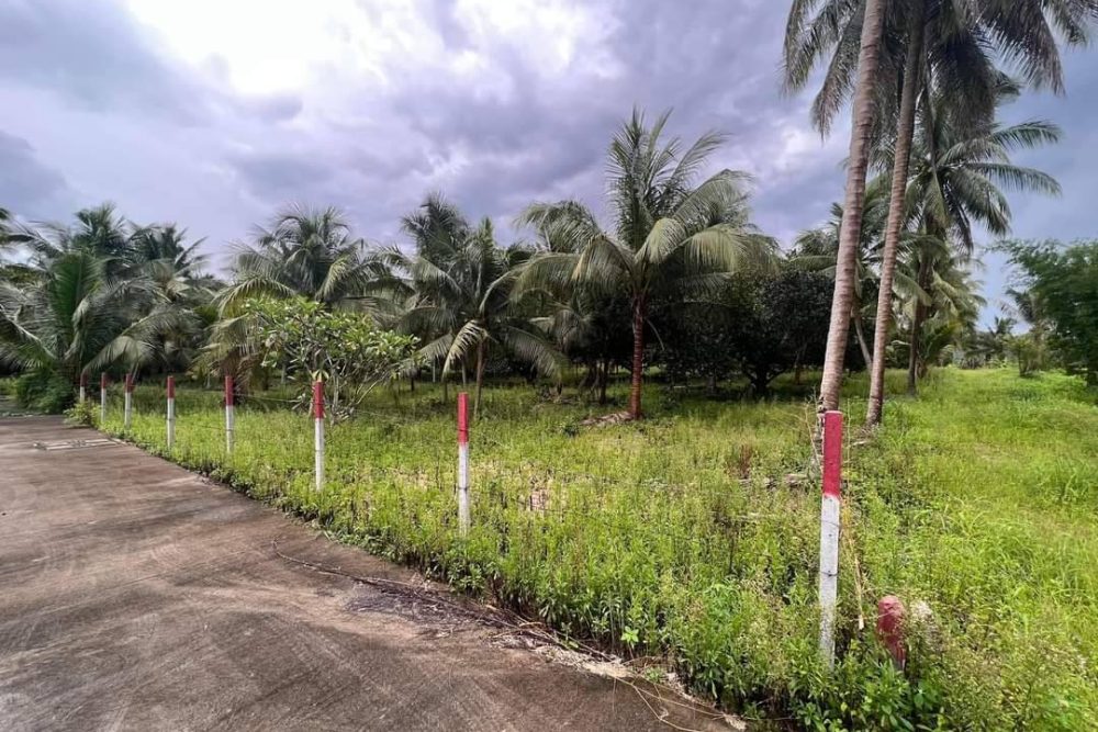 timeline_20220817_142050