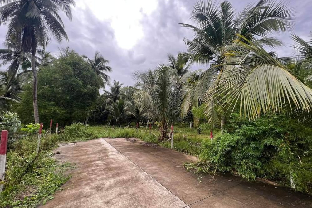 timeline_20220817_142052