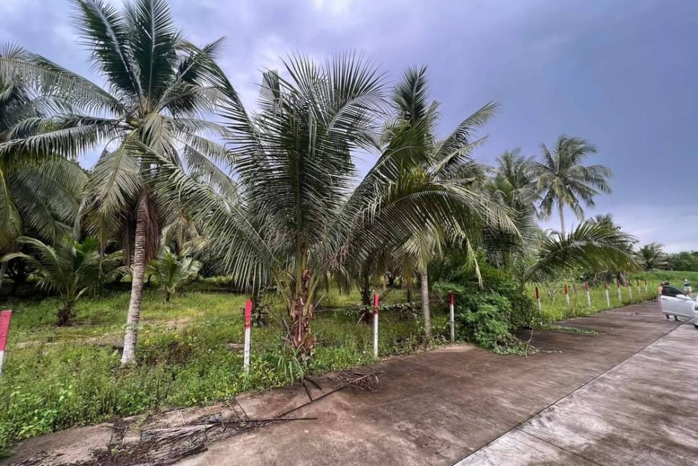 timeline_20220817_142054