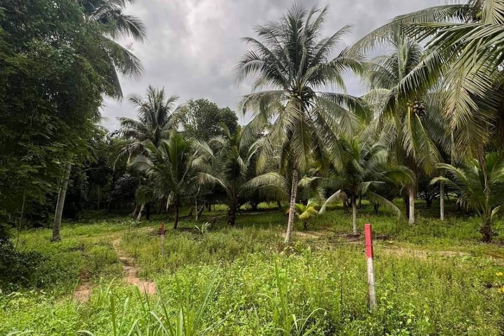 timeline_20220817_142055