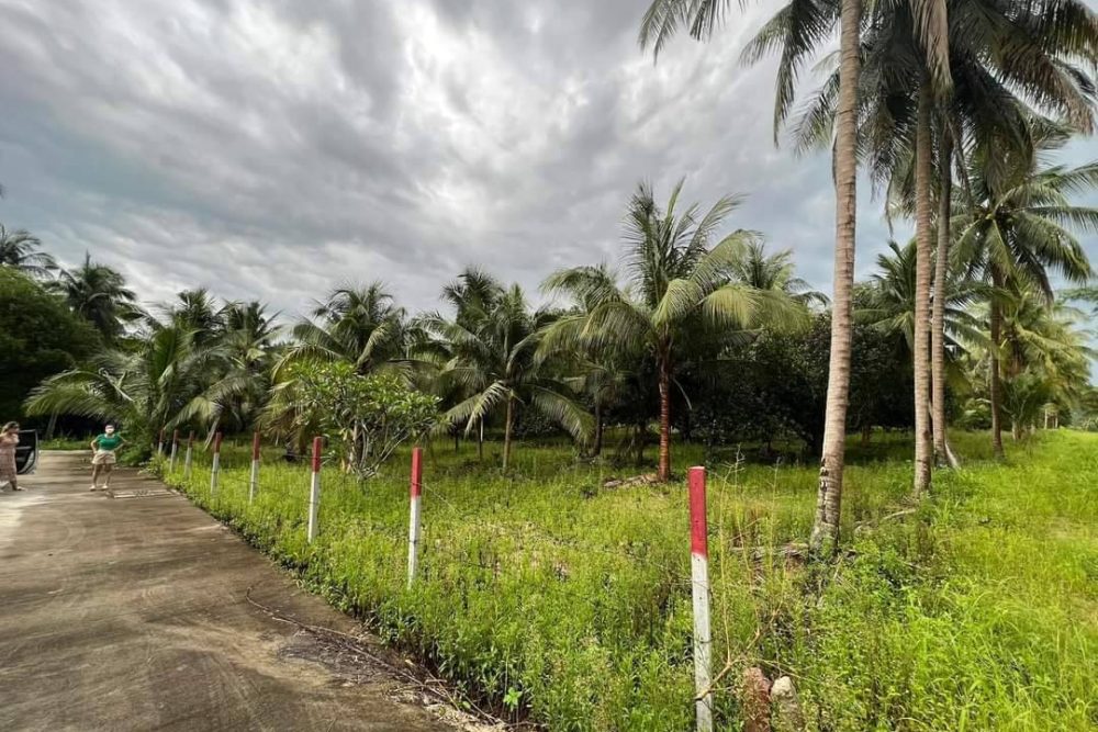 timeline_20220817_142057