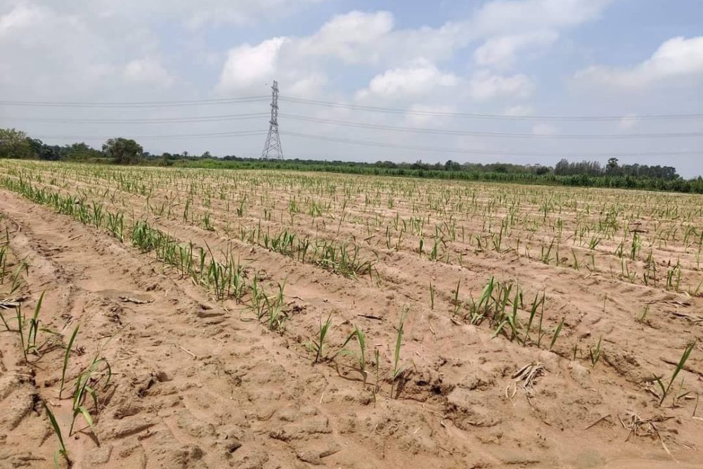 timeline_20221005_101122