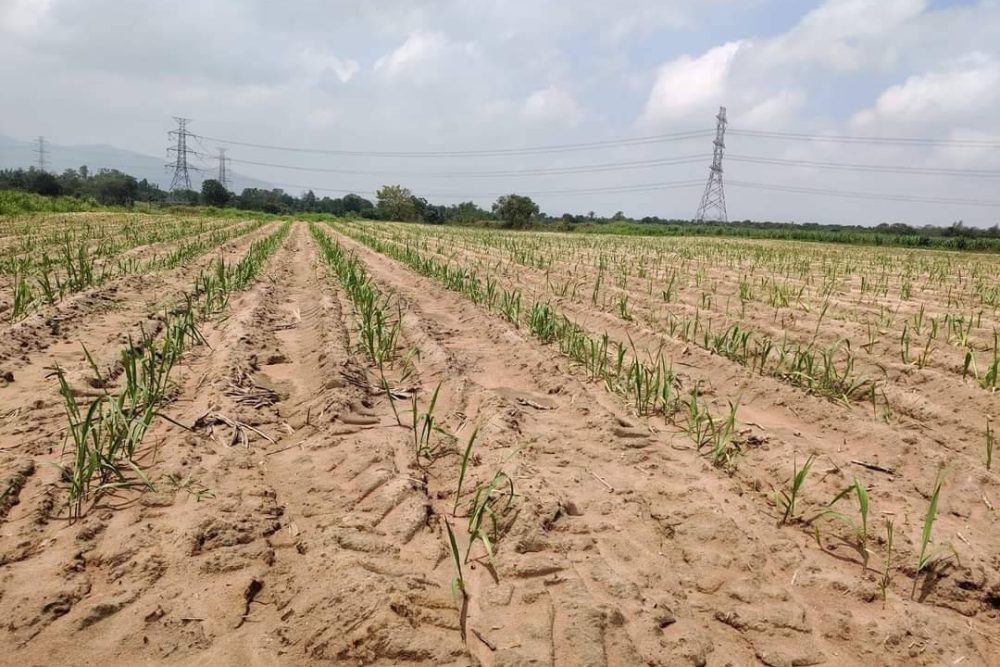 timeline_20221005_101123