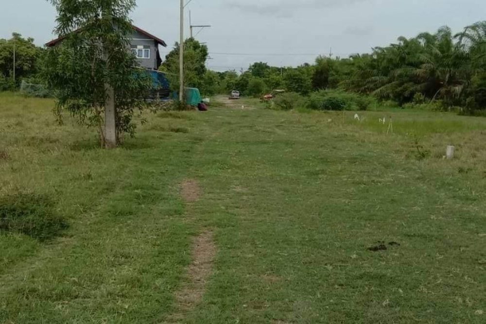 timeline_20221025_082204