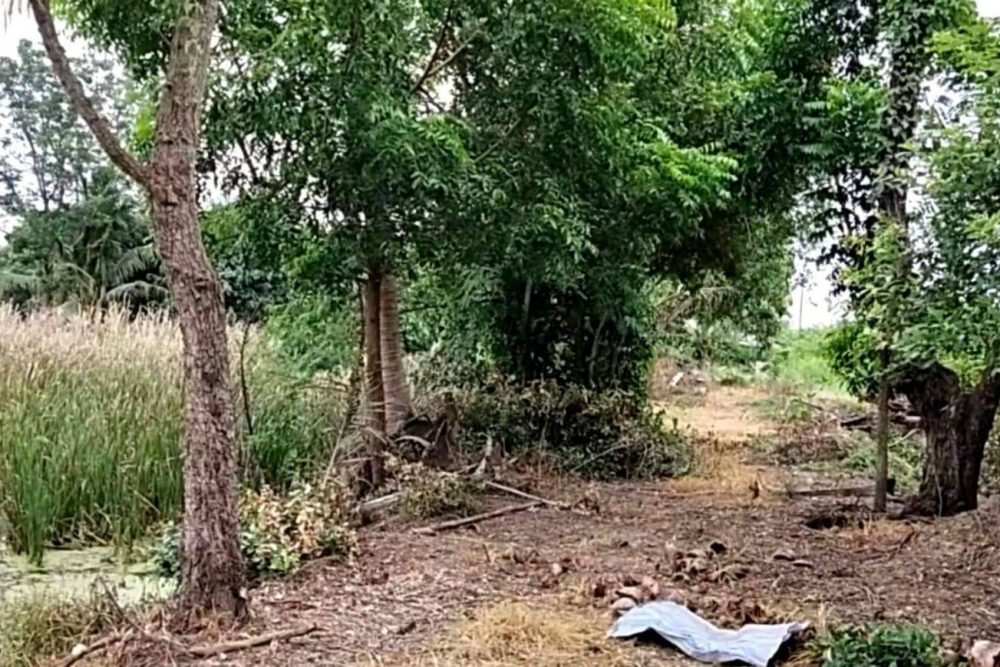 timeline_20221129_154617