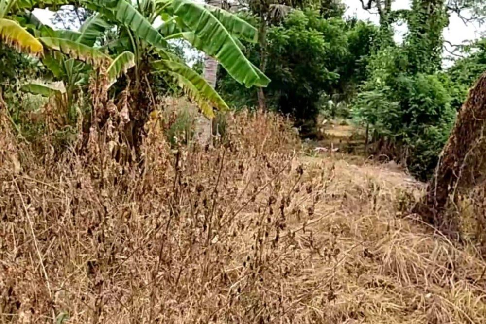 timeline_20221129_154619