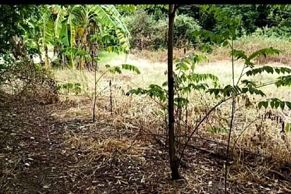 timeline_20221129_154622