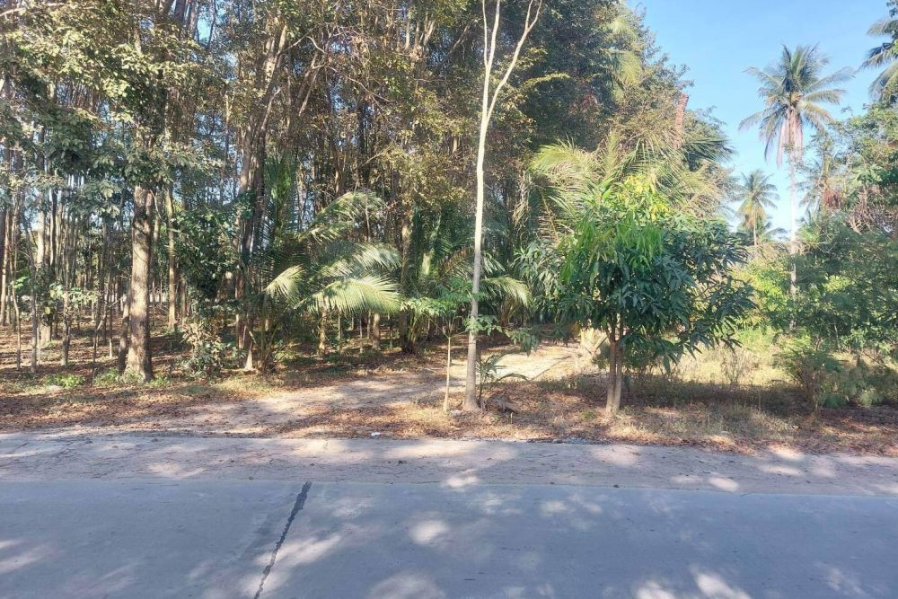 timeline_20230130_104149