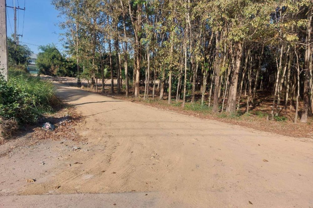 timeline_20230130_104151