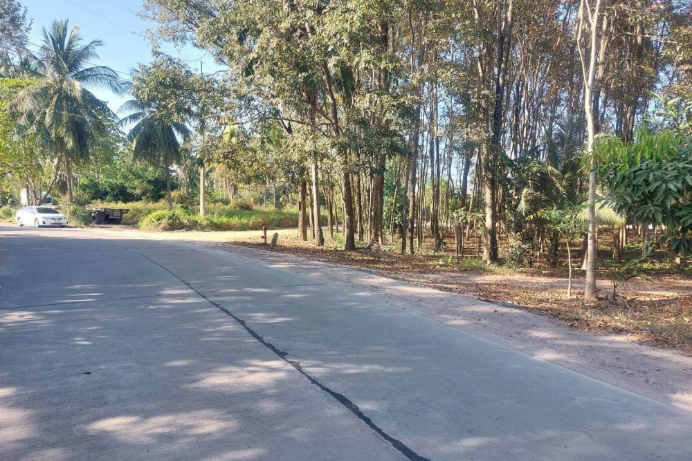 timeline_20230130_104153