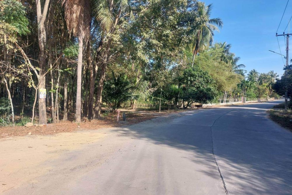 timeline_20230130_104154