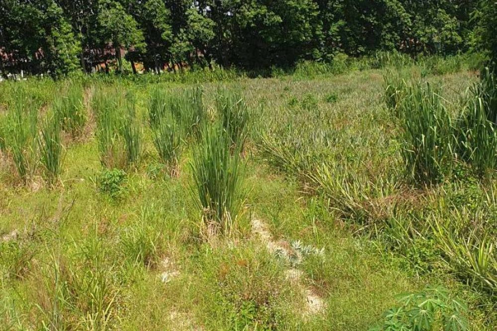 timeline_20230721_144806