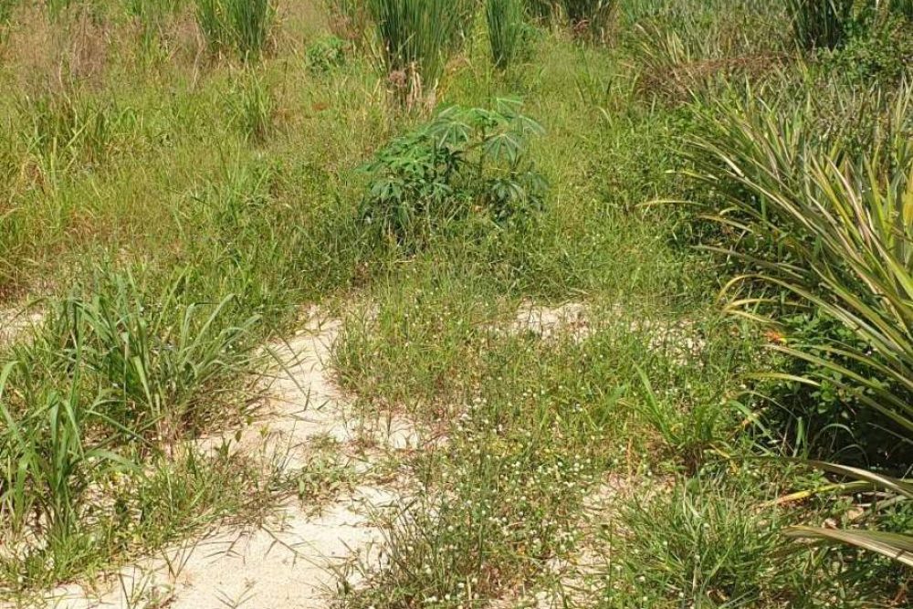 timeline_20230721_144808