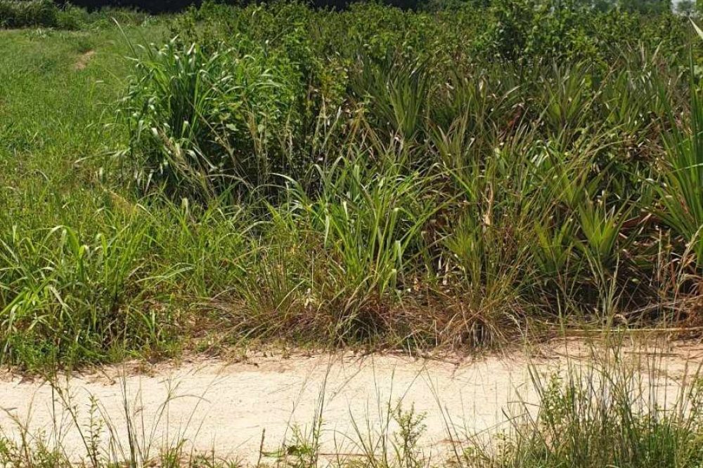 timeline_20230721_144810