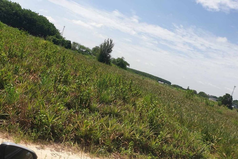 timeline_20230721_144812