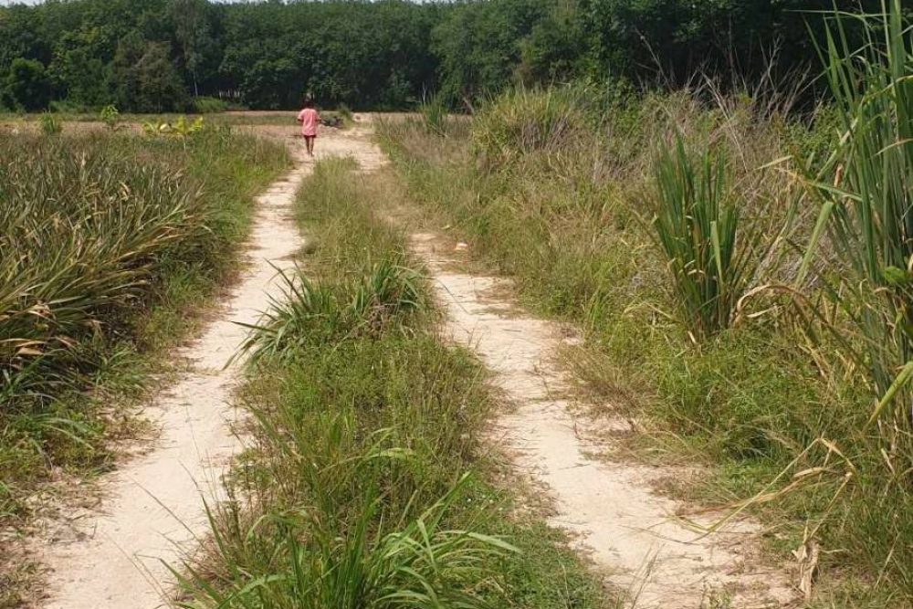 timeline_20230721_144814