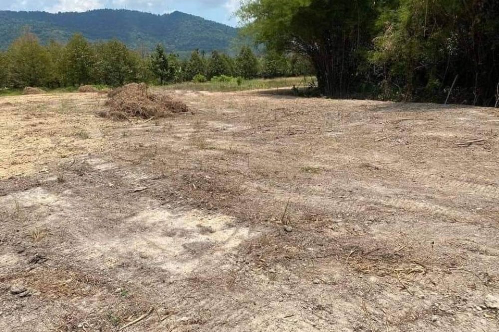 timeline_20240521_133853