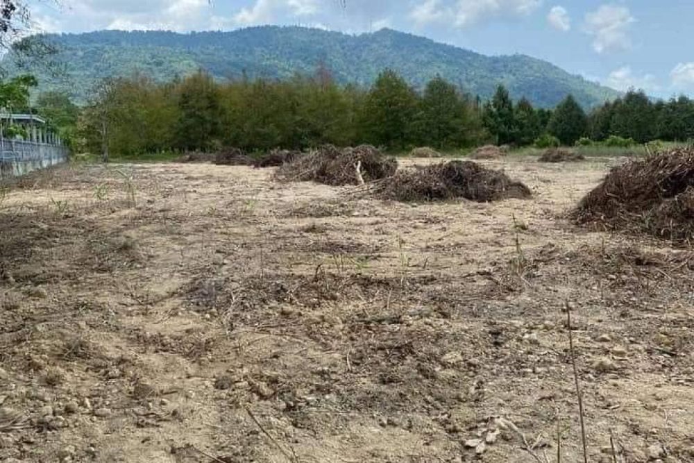 timeline_20240521_133855