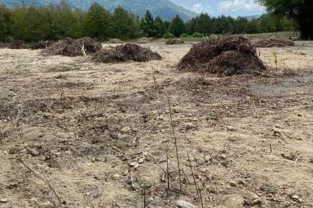 timeline_20240521_133857