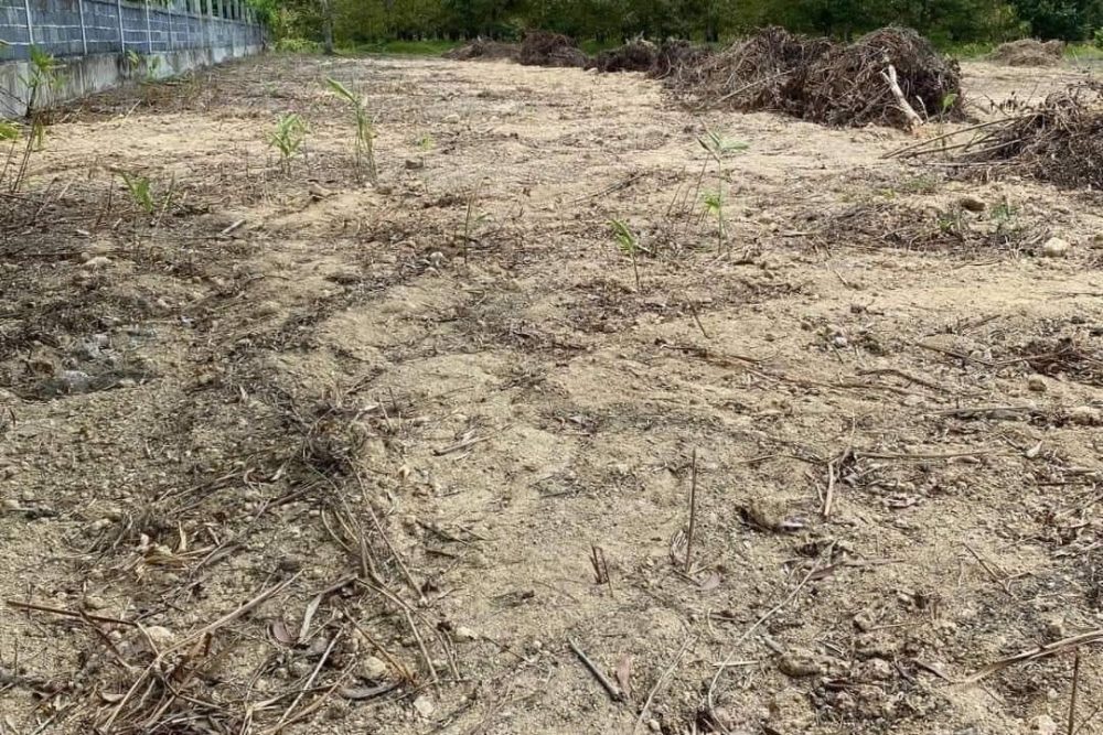 timeline_20240521_133858