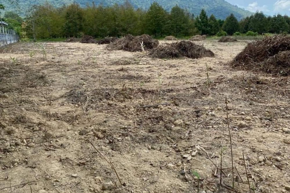 timeline_20240521_133859