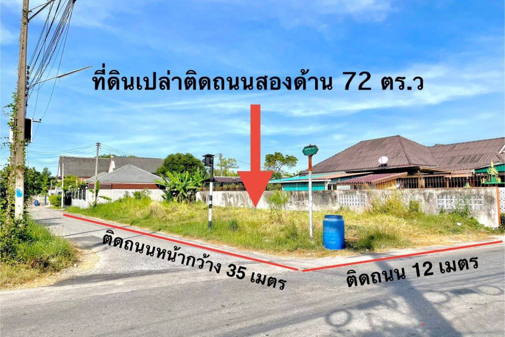 timeline_20250313_112521