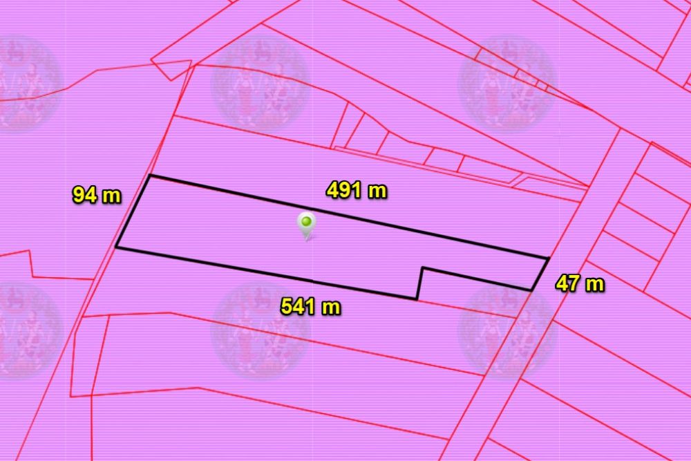 ผังสี