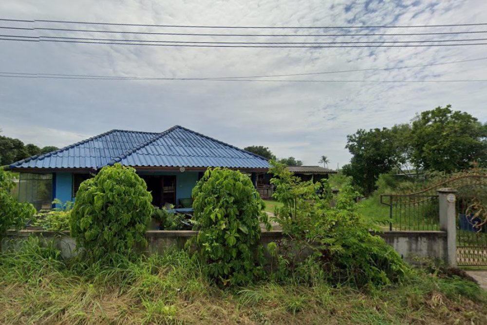 ภาพหน้าจอ_032925_035511_PM